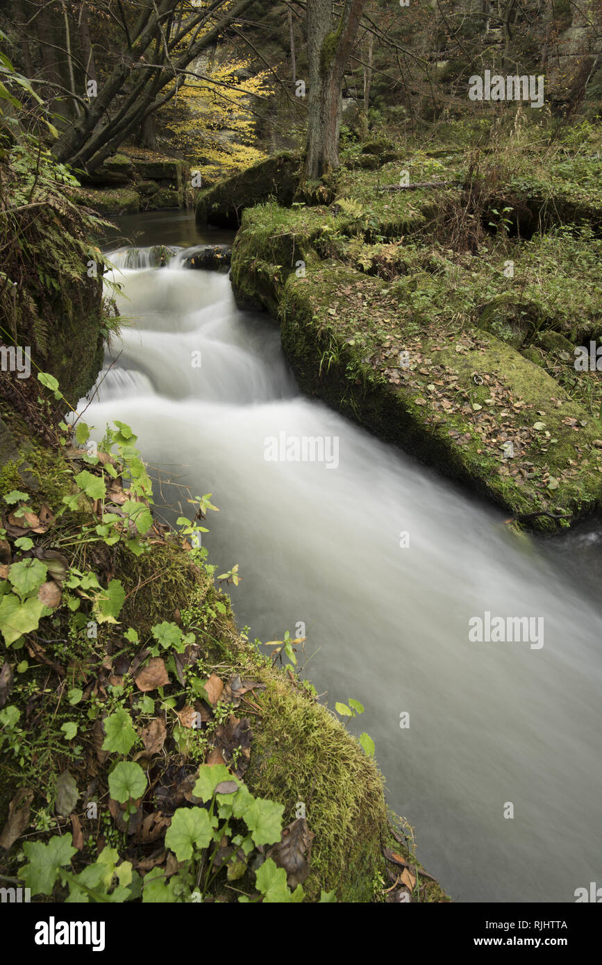 Creek in Bohemian Switzerland. Autumn creek in photographer`s paradise in Bohemian Switzerland, Czech Republic Stock Photo
